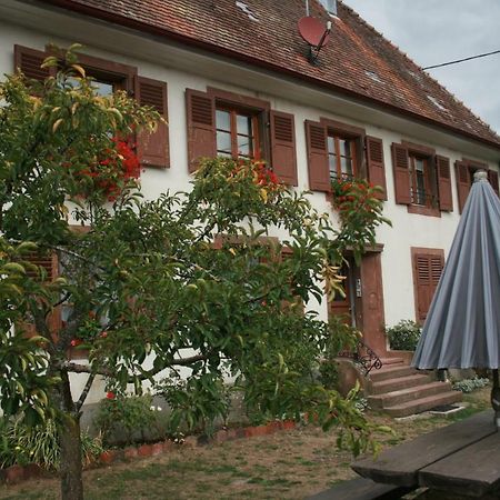 Maison D'Alsace Breitenbach-Haut-Rhin Εξωτερικό φωτογραφία