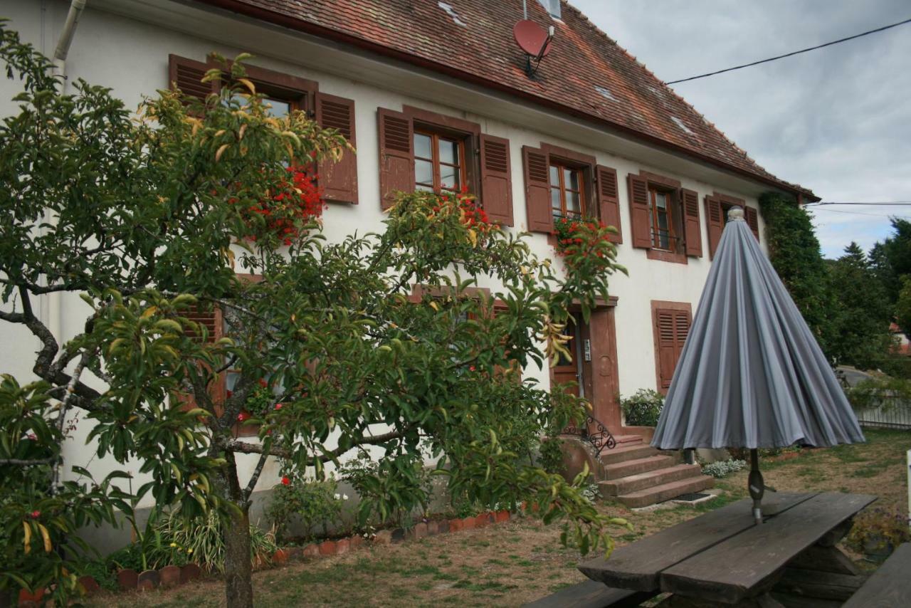 Maison D'Alsace Breitenbach-Haut-Rhin Εξωτερικό φωτογραφία
