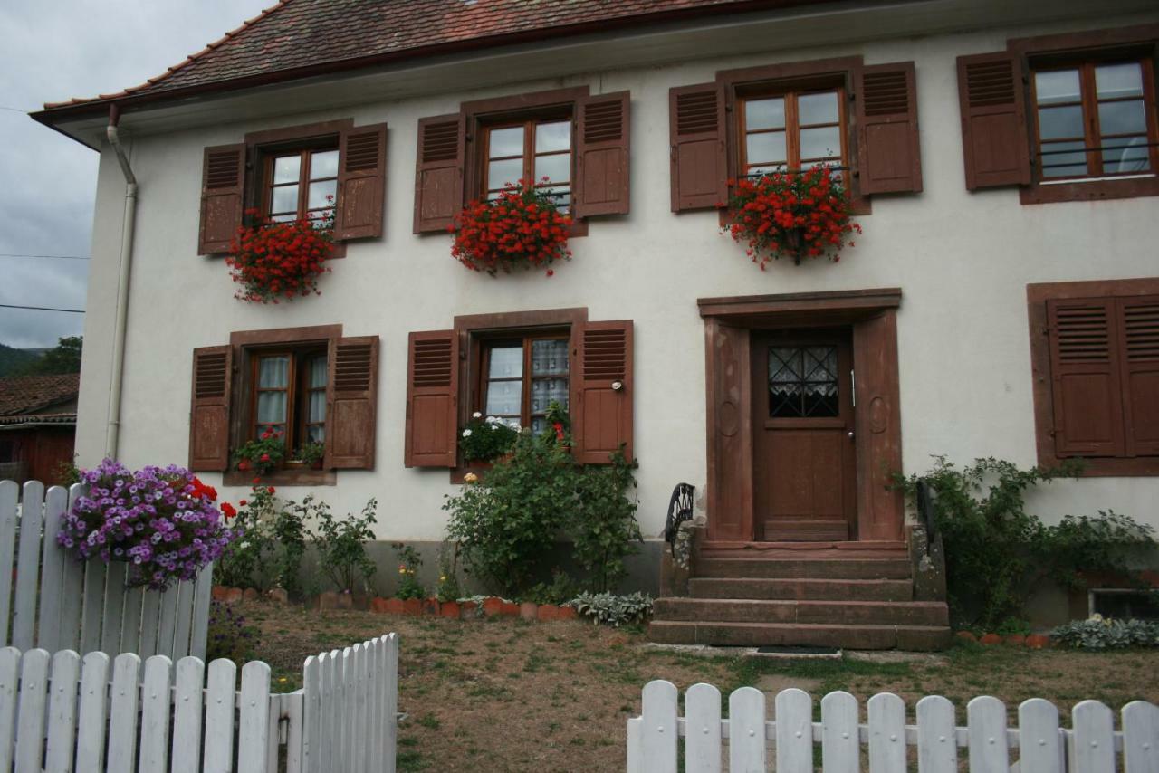 Maison D'Alsace Breitenbach-Haut-Rhin Εξωτερικό φωτογραφία